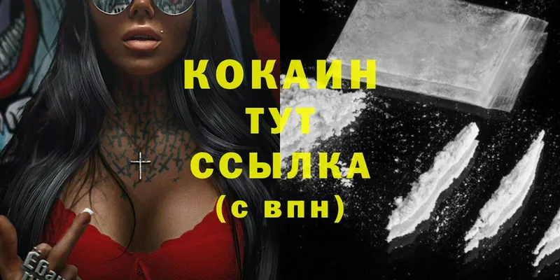 Cocaine Fish Scale  купить наркотики цена  Мурино 